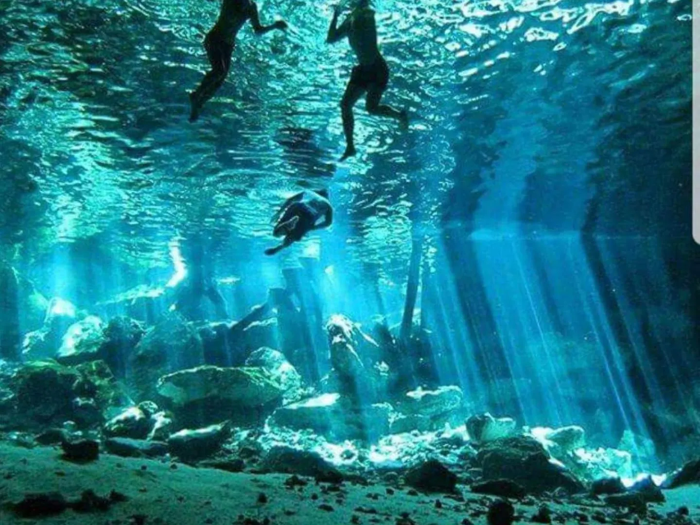 Loft Cabins In Cenotes Natural Park 툴룸