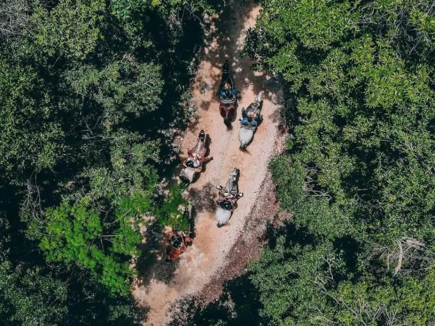 Сasa de vacaciones Cabañas en la selva de Tulum