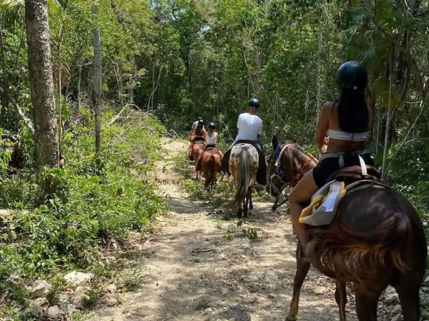 Cabañas en la selva de Tulum 0*,